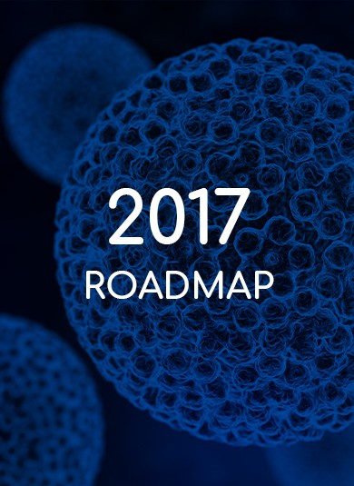 EUROGIN 2017 - Roadmap