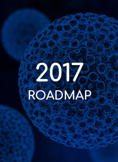 EUROGIN 2017 - Roadmap