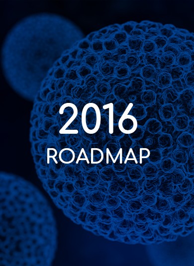 EUROGIN 2016 - Roadmap