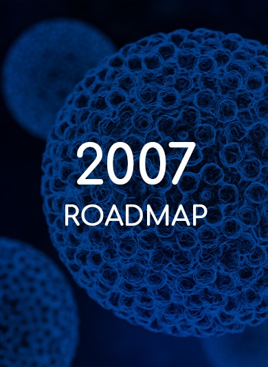 EUROGIN 2007 - Roadmap