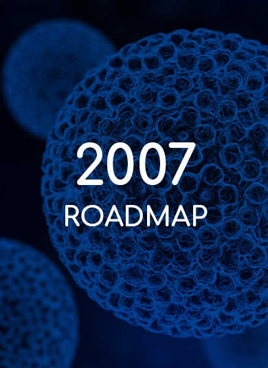 EUROGIN 2007 - Roadmap