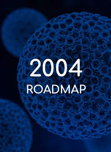 EUROGIN 2004 - Roadmap