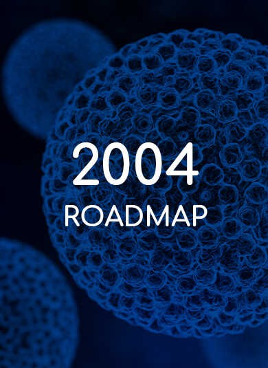 EUROGIN 2004 - Roadmap