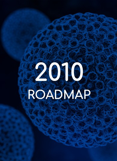 EUROGIN 2010 - Roadmap