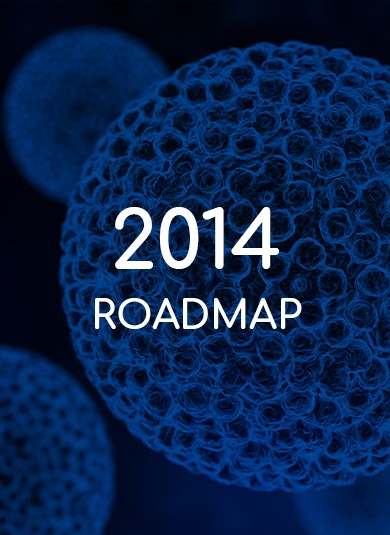 EUROGIN 2014 - Roadmap