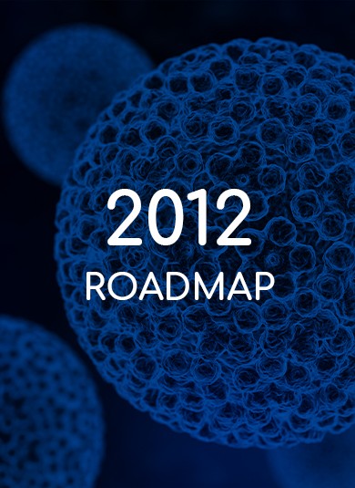 EUROGIN 20126 - Roadmap