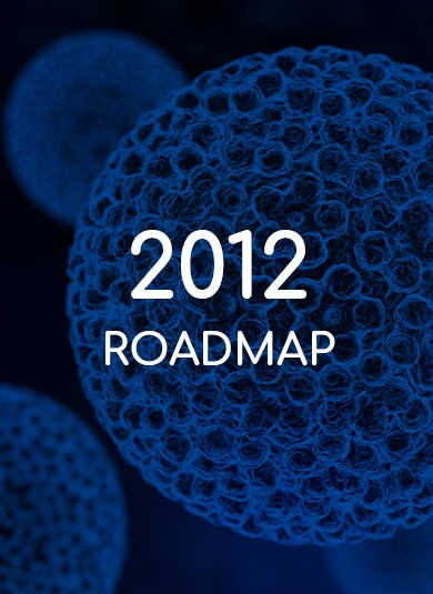 EUROGIN 20126 - Roadmap