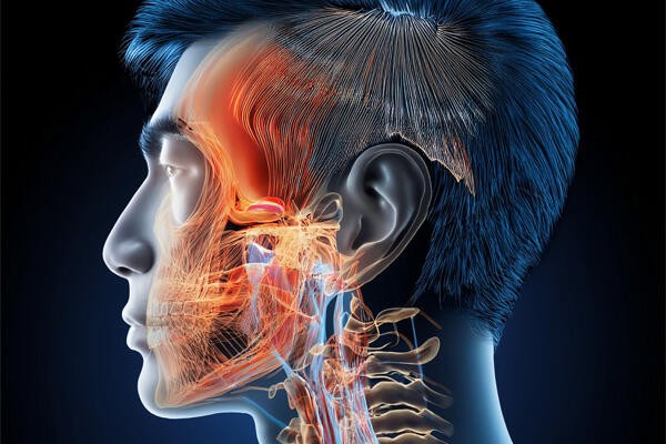 HPV and Head & Neck Forum