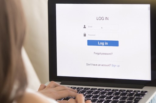 EUROGIN Log In
